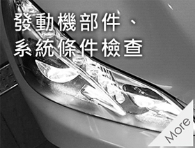 �o�ʾ�����t�α����ˬd